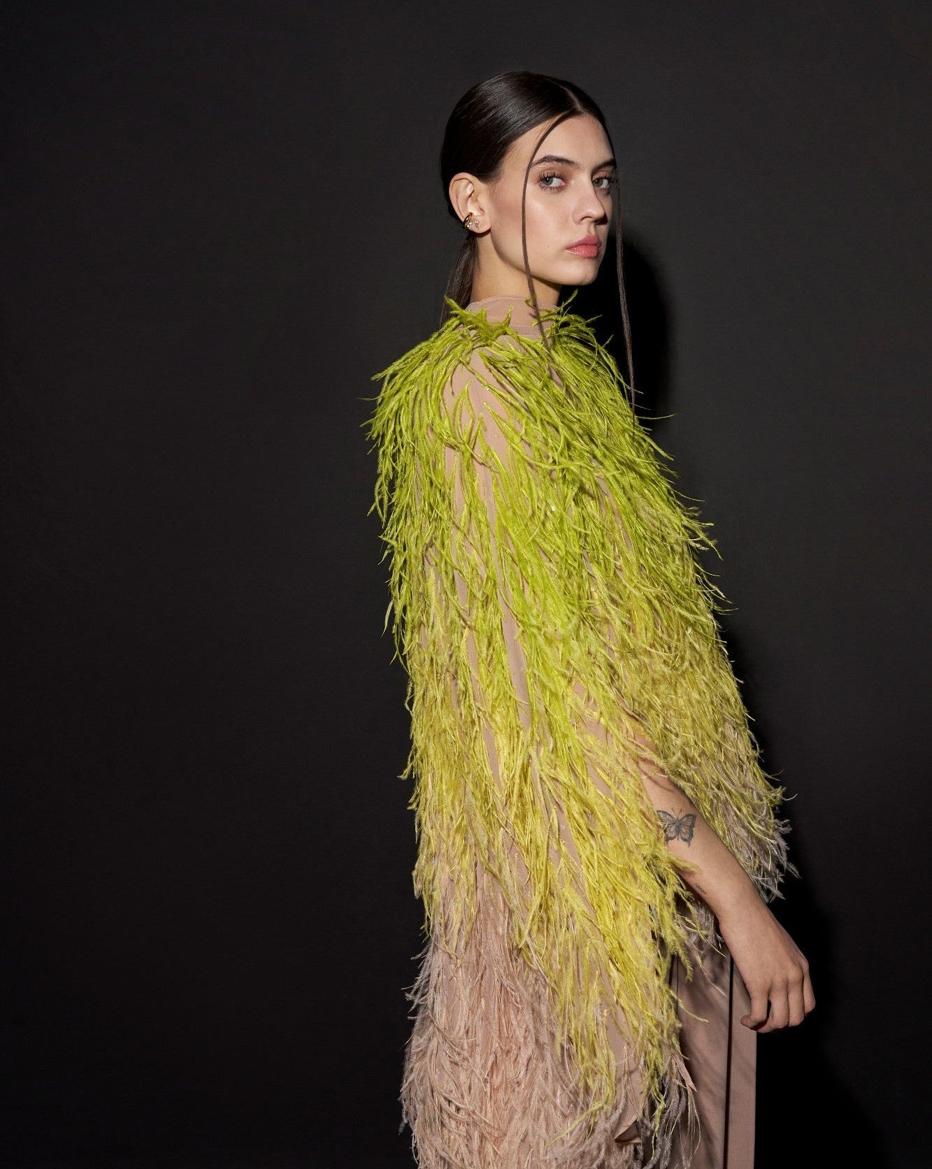 Feathers - LAPOINTE