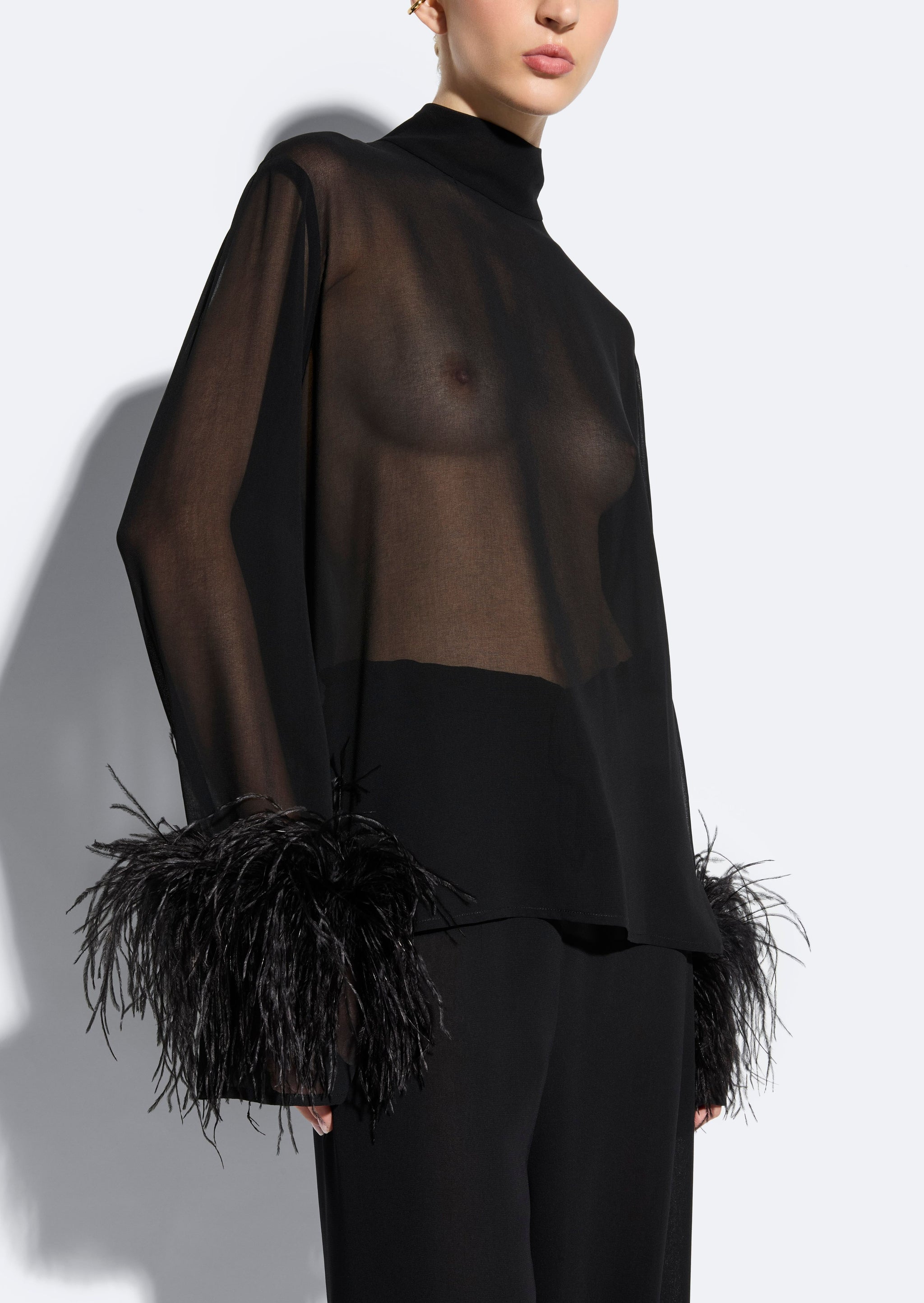 Georgette Top With Feathers