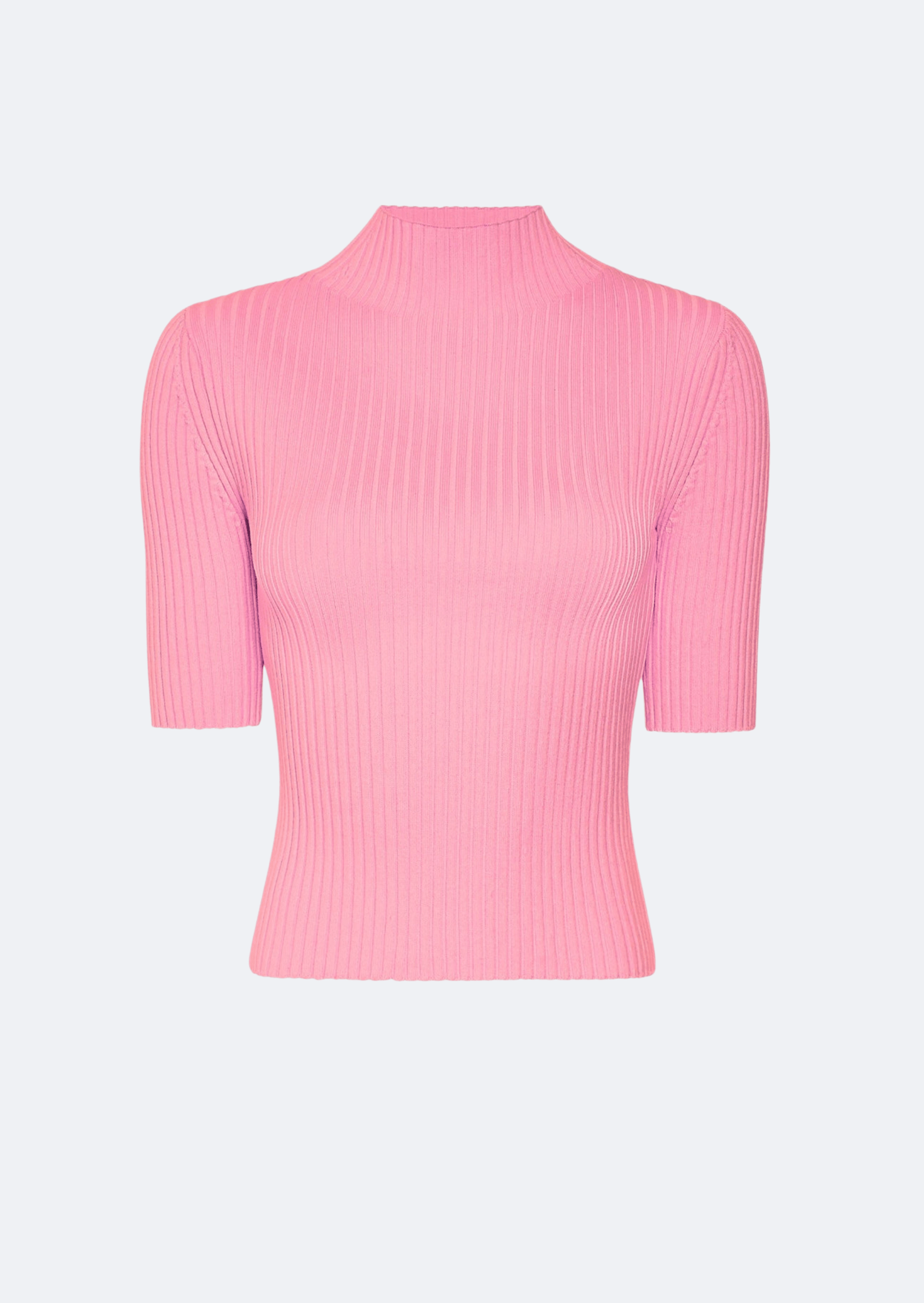 Cotton Wool Turtleneck Tee - LAPOINTE