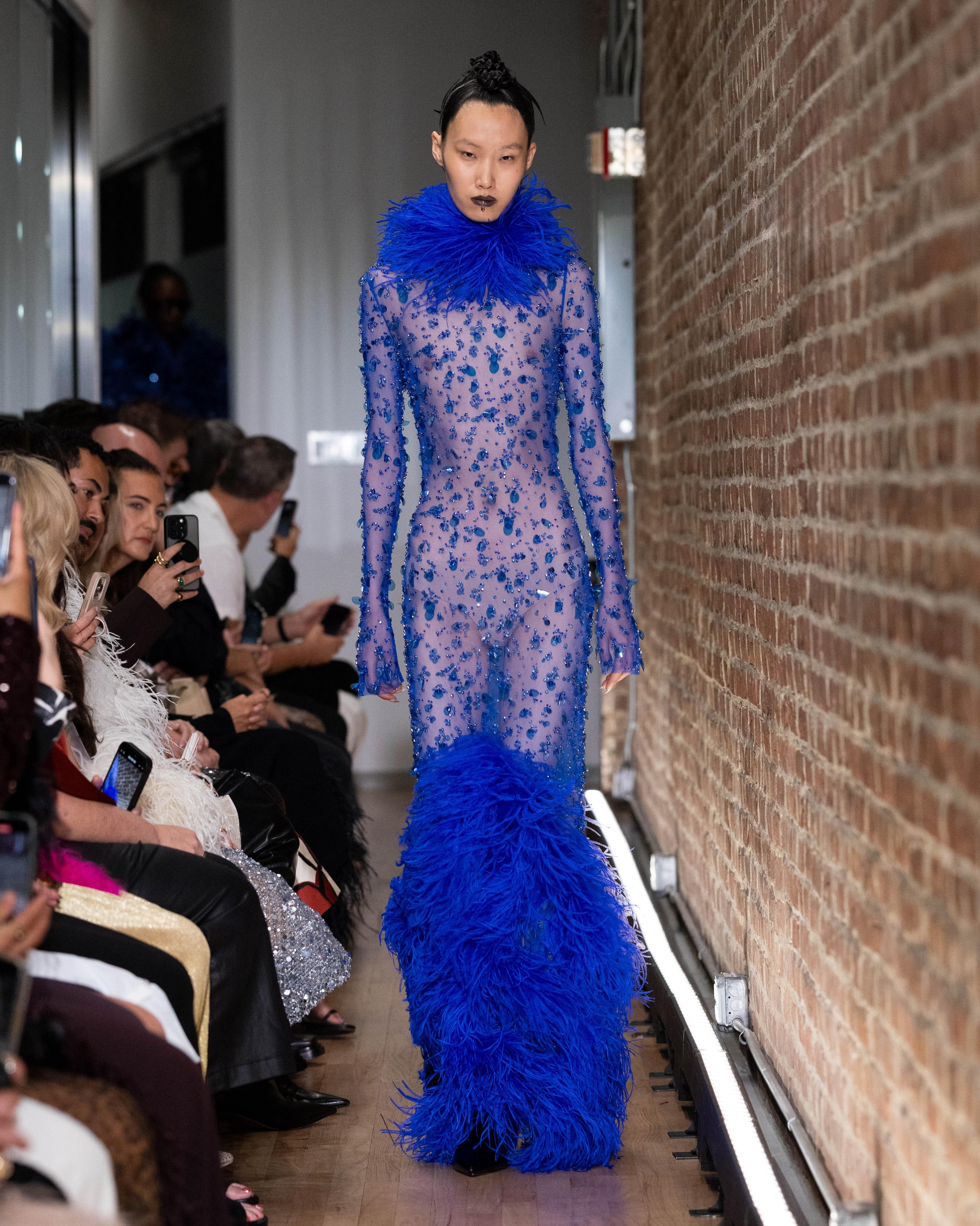 Embroidered Mesh Boatneck Gown With Feathers - LAPOINTE