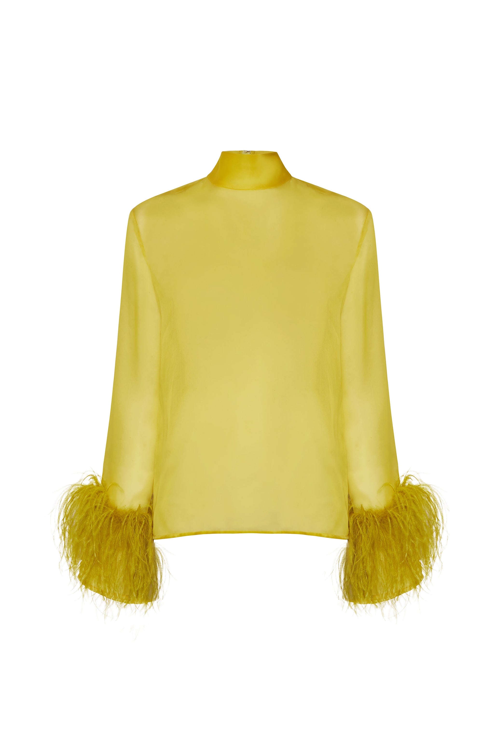 Organza Top With Feathers