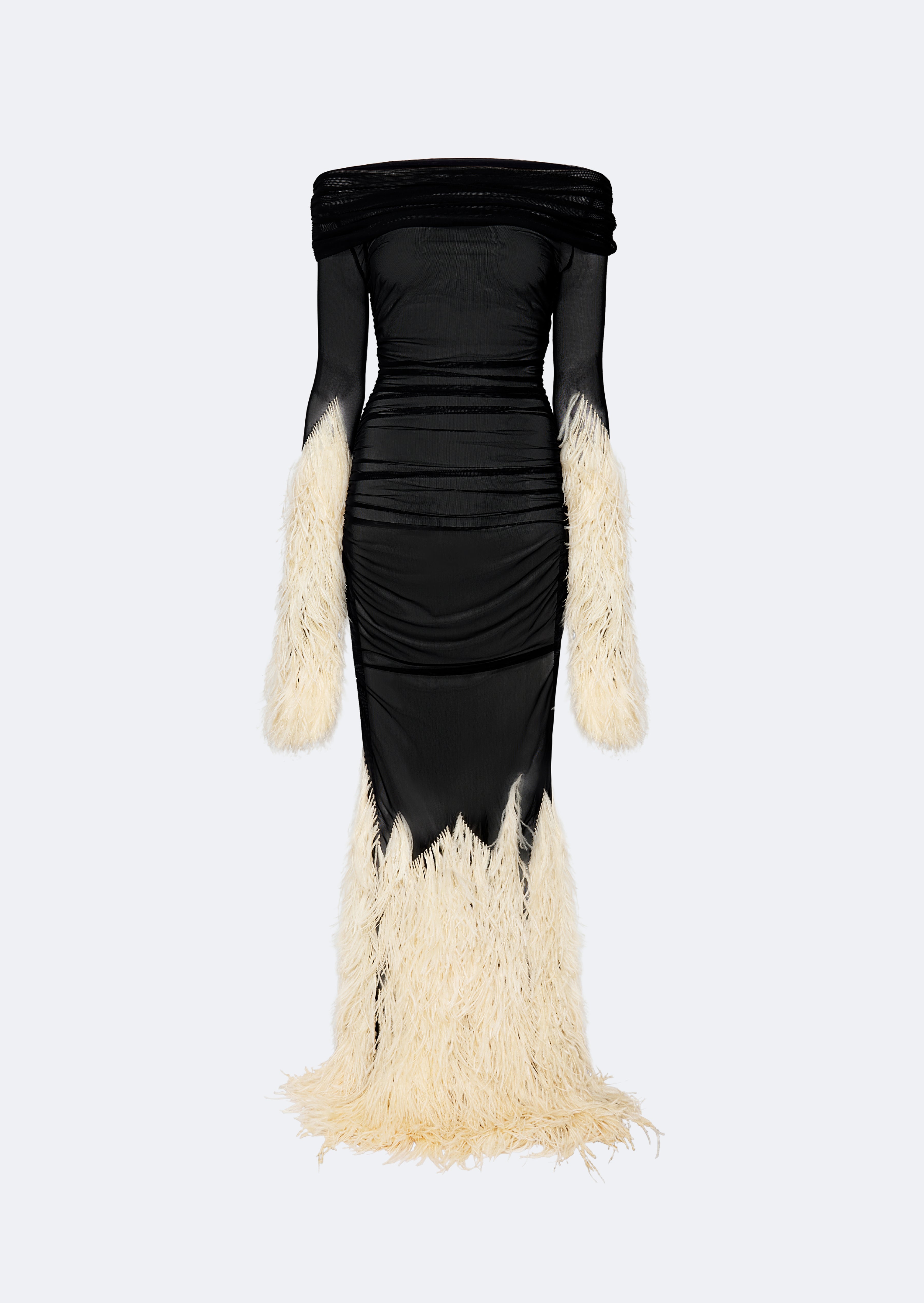 Mesh Off The Shoulder Gown With Feathers