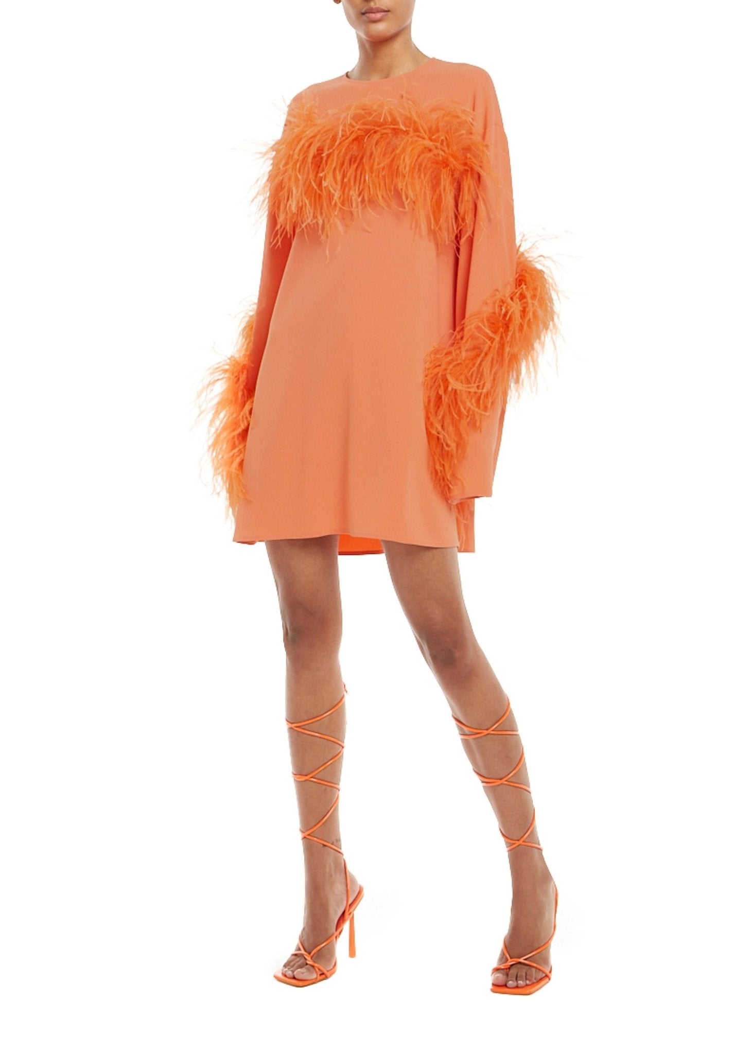 Crepe Shift Dress With Feathers - LAPOINTE