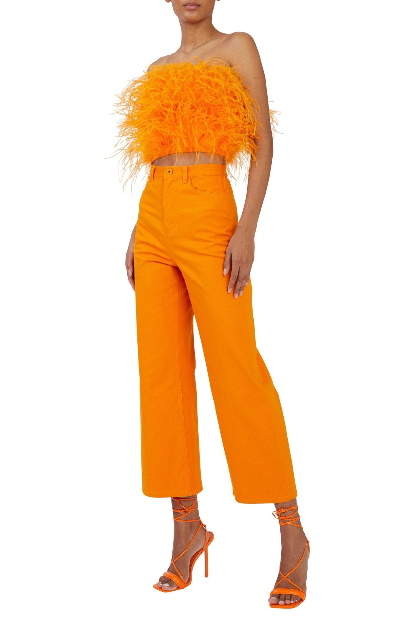 FEATHER TUBE TOP - LAPOINTE