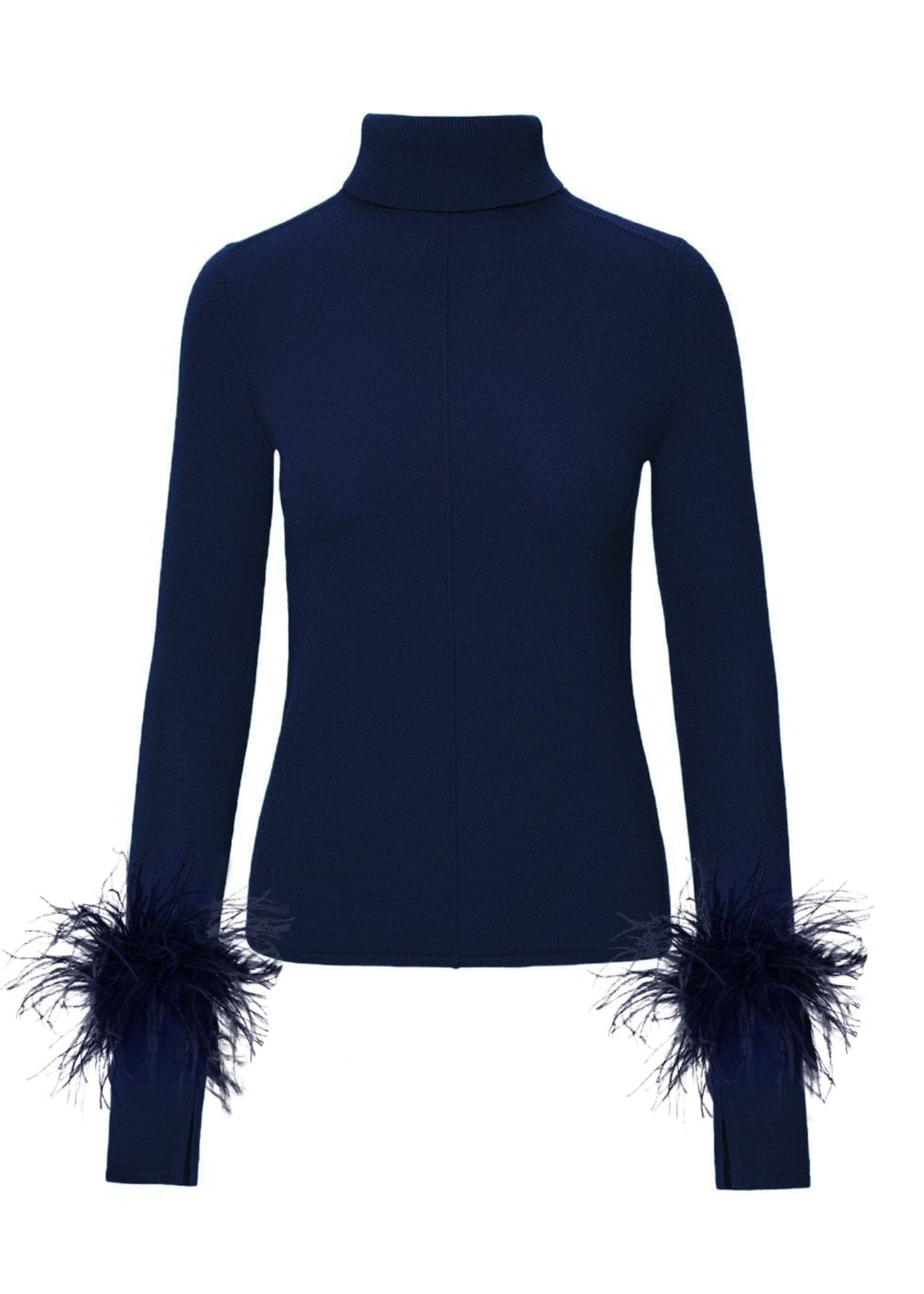 Pintuck Turtleneck With Feathers - LAPOINTE