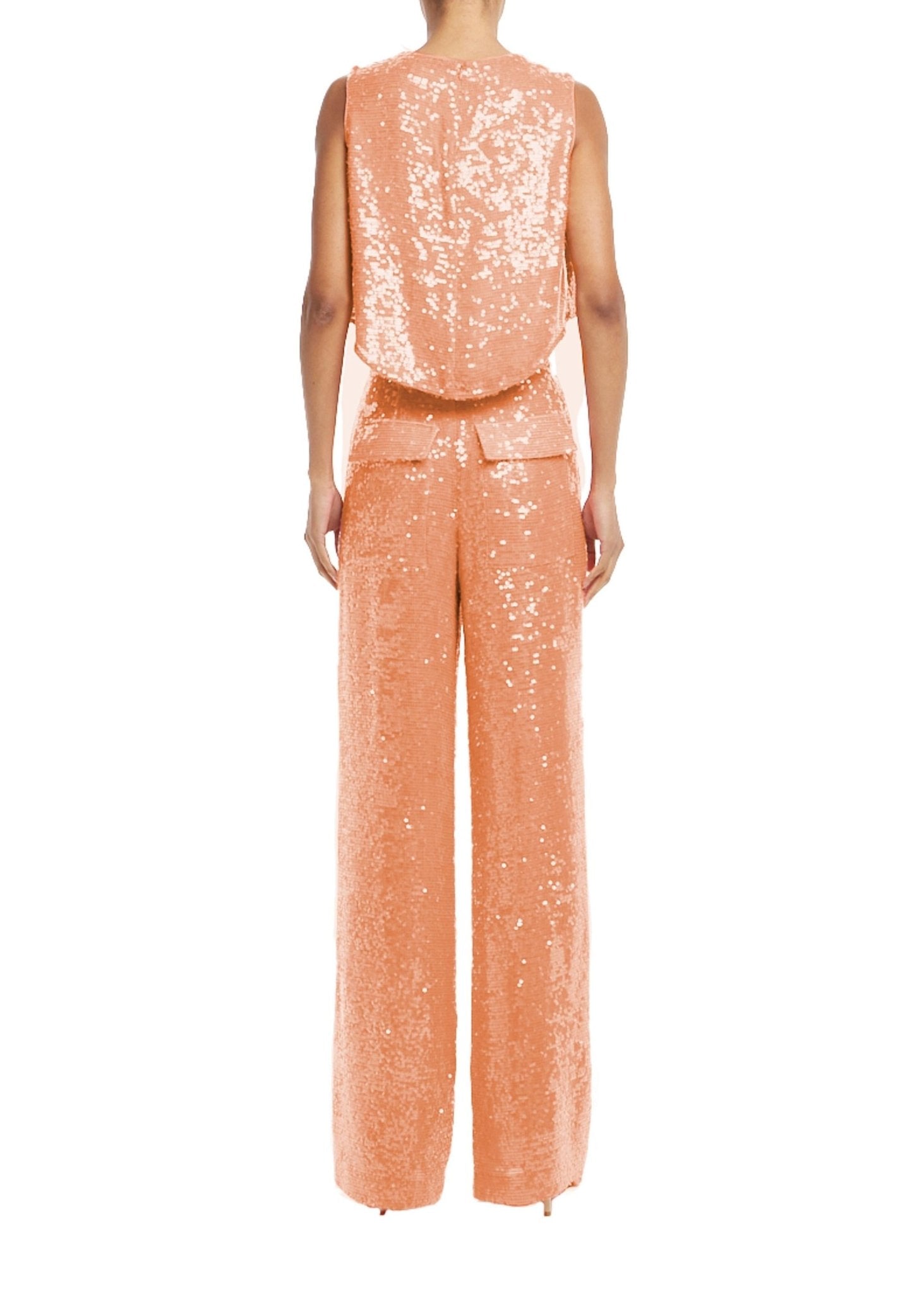 Sequin Relaxed Pleated Pant - LAPOINTE